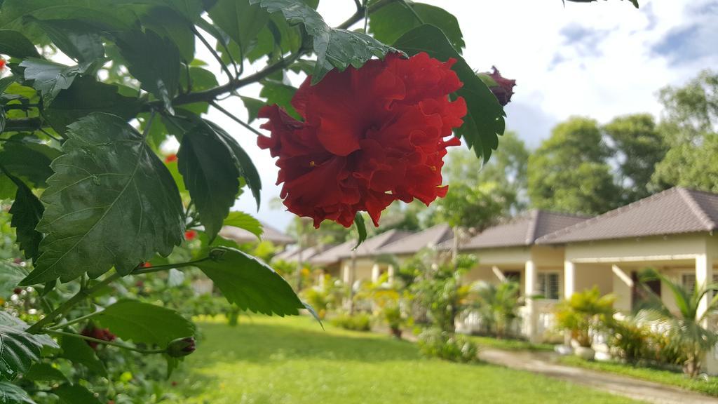 The Moonflower Bungalow Hotel Sihanoukville Luaran gambar